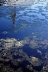 Ice flows, River Tay, Perth, Tayside by Dave Banks