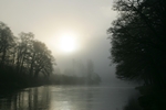 River Tay nr Aberfeldy, Tayside by Dave Banks