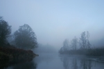 River Tay nr Aberfeldy, Tayside by Dave Banks