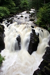 Hermitage, Dunkeld, Tayside by Dave Banks