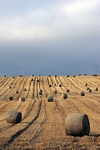 Straw bales nr Methven, Tayside by Dave Banks