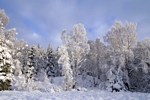 Winter scene nr Kinloch Rannoch, Tayside by Dave Banks