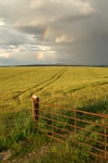 Summer storm nr Perth, Tayside by Dave Banks