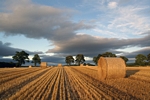 Straw bales nr Perth, Tayside by Dave Banks