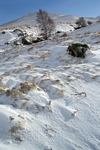 Spittle of Glen Shee, Tayside by Dave Banks