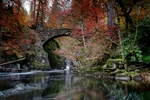Hermitage, Dunkeld, Tayside by Dave Banks
