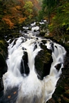 Hermitage, Dunkeld, Tayside by Dave Banks