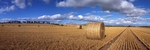 Stubble field nr Kirriemuir, Tayside by Dave Banks