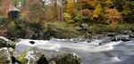 Hermitage, Dunkeld, Tayside by Dave Banks