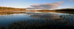 Lochan nr Glen Quaich, Tayside by Dave Banks