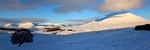 Glen Fender, Tayside by Dave Banks