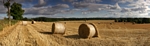Straw bales nr Meikleour, Tayside by Dave Banks