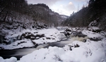 Falls of Faskally, Tayside by Dave Banks
