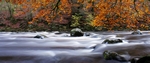River Braan, Tayside by Dave Banks