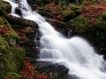 Waterfall, Birks of Aberfeldy, Tayside by Dave Banks